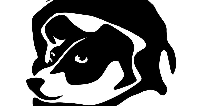 Branding et identité visuelle pour marque : les clés d’une image mémorable